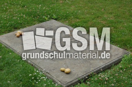 Sanssouci Grabplatte.JPG